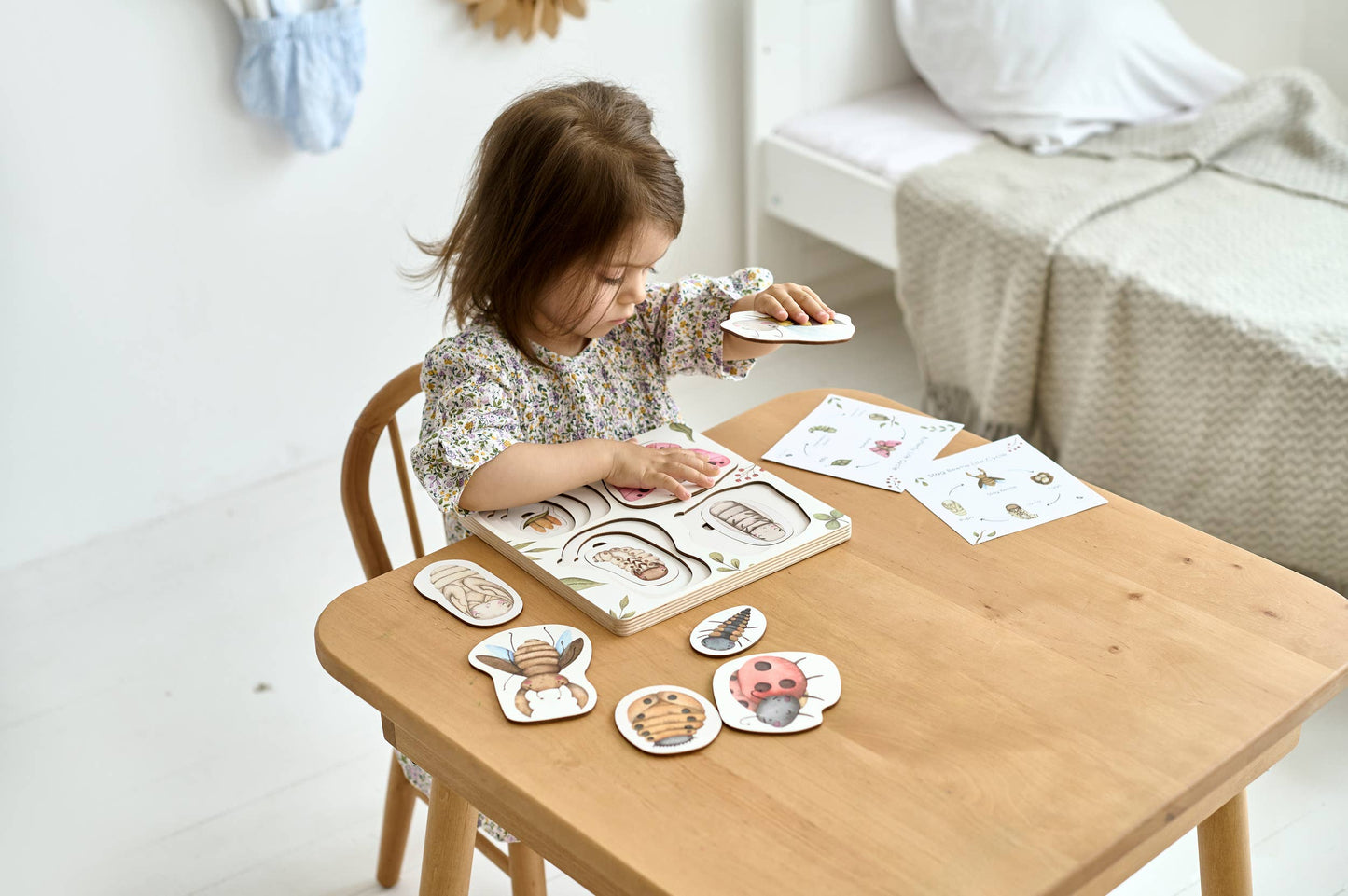 Holzpuzzle Lebenszyklus der Insekten