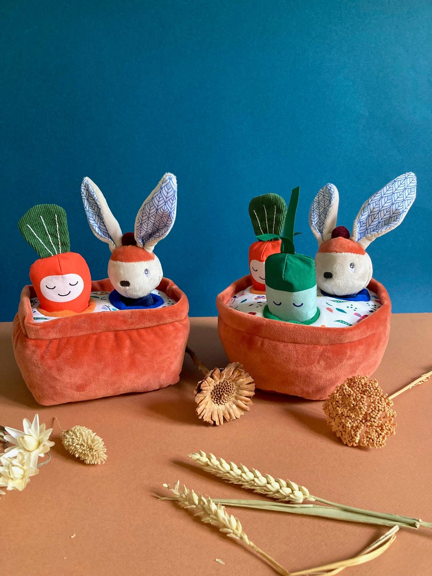 Gabin Rabin's Gemüsegarten mit 3 Aktivitätsspielzeugen