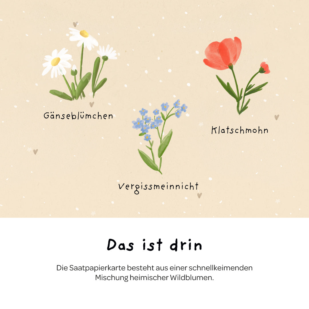 Saatpapier Grußkarten