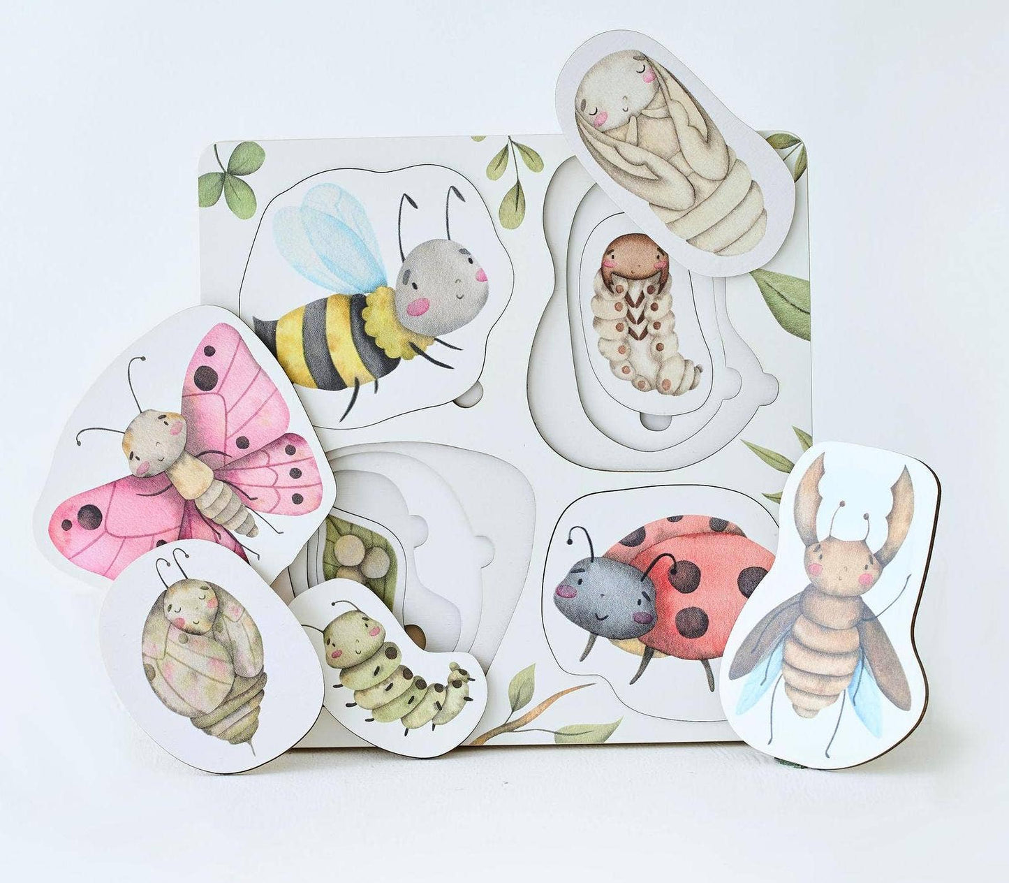 Holzpuzzle Lebenszyklus der Insekten